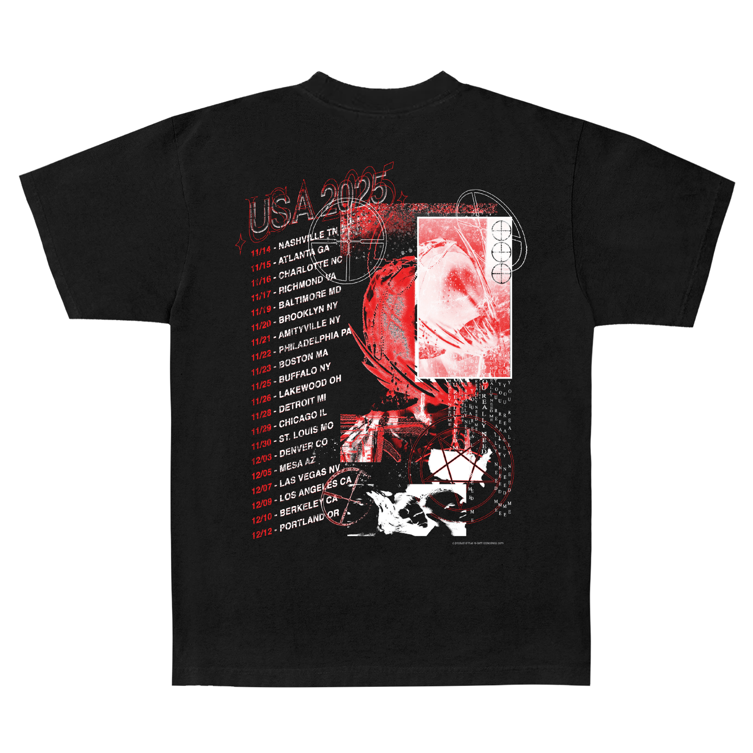 2025 US TOUR T-Shirt