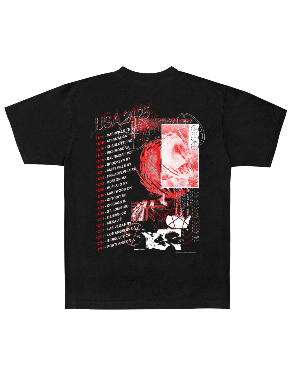2025 US TOUR T-Shirt