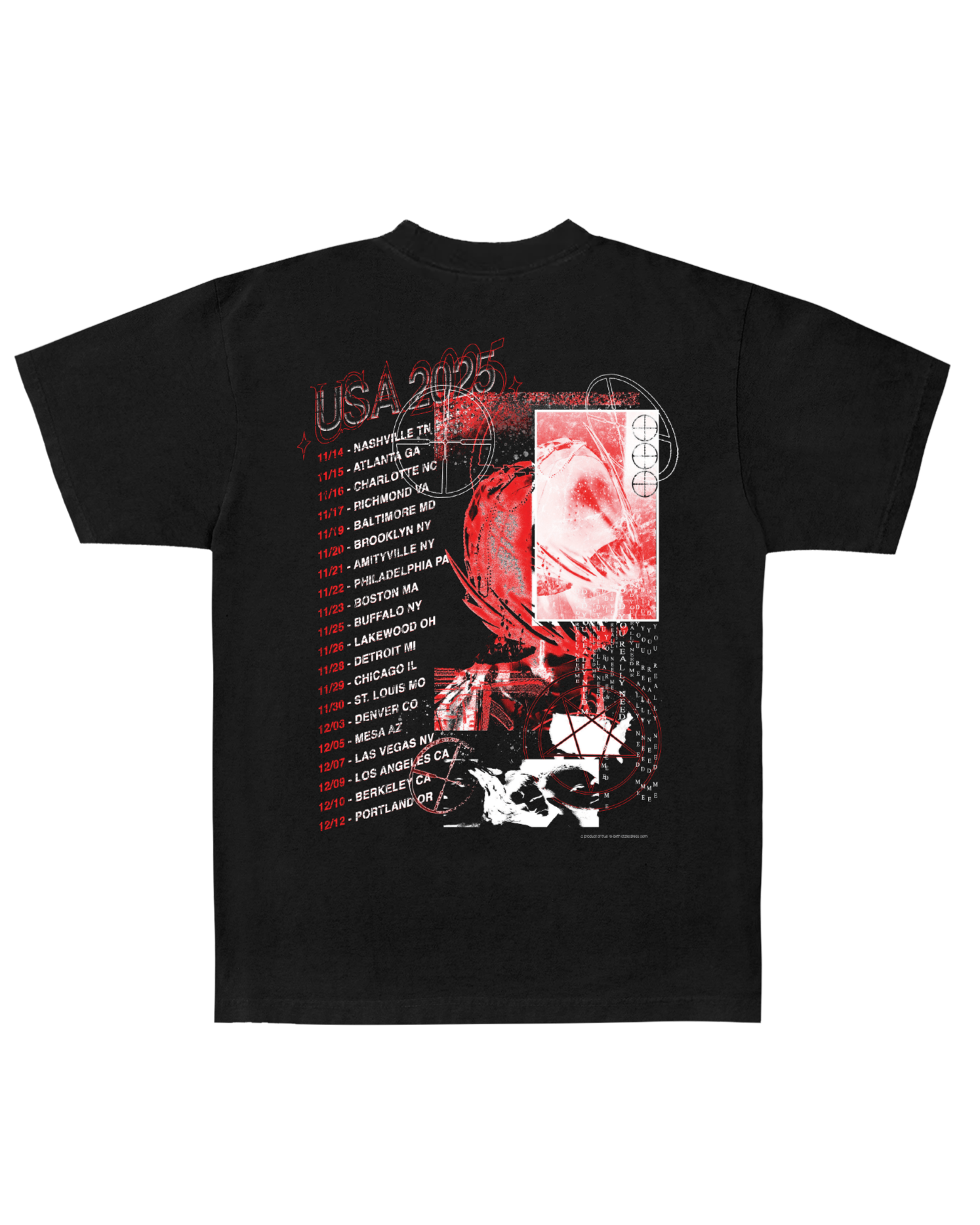 2025 US TOUR T-Shirt